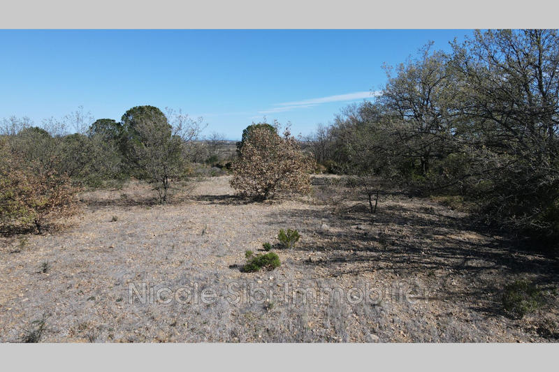 Terrain agricole - 4 920 m²