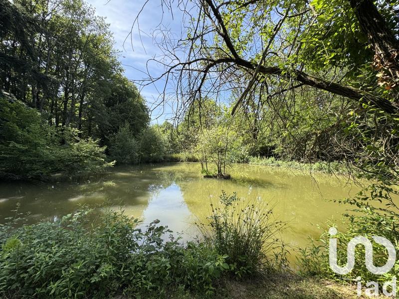 Maison de maîtres - 503 m² - 10 pièces