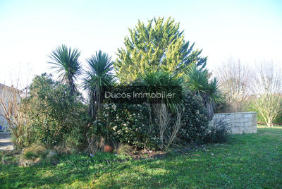 Maison - 150 m² - 4 pièces