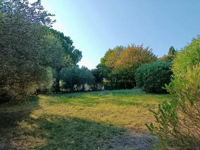 Terrain - 815 m²
