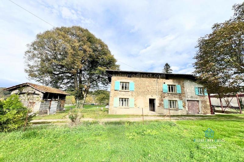 Maison en pierre - 242 m² - 9 pièces