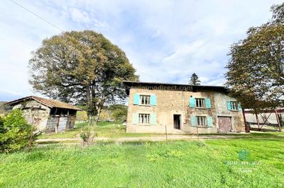 Maison en pierre - 242 m² - 9 pièces