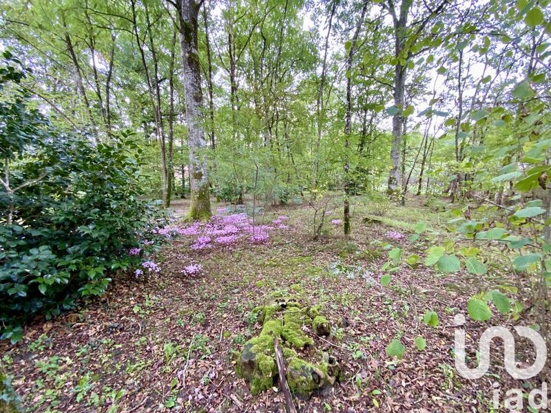 Maison - 128 m² - 7 pièces