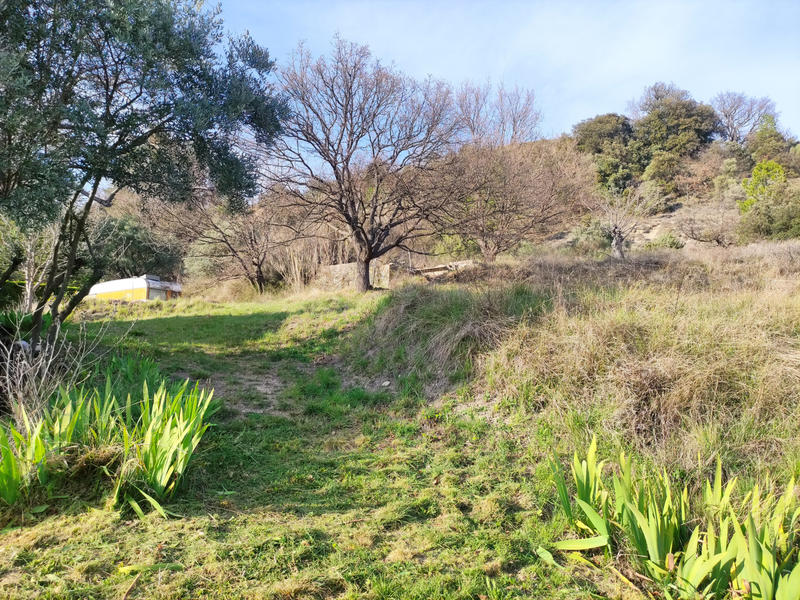 Ferme - 100 m² - 5 pièces