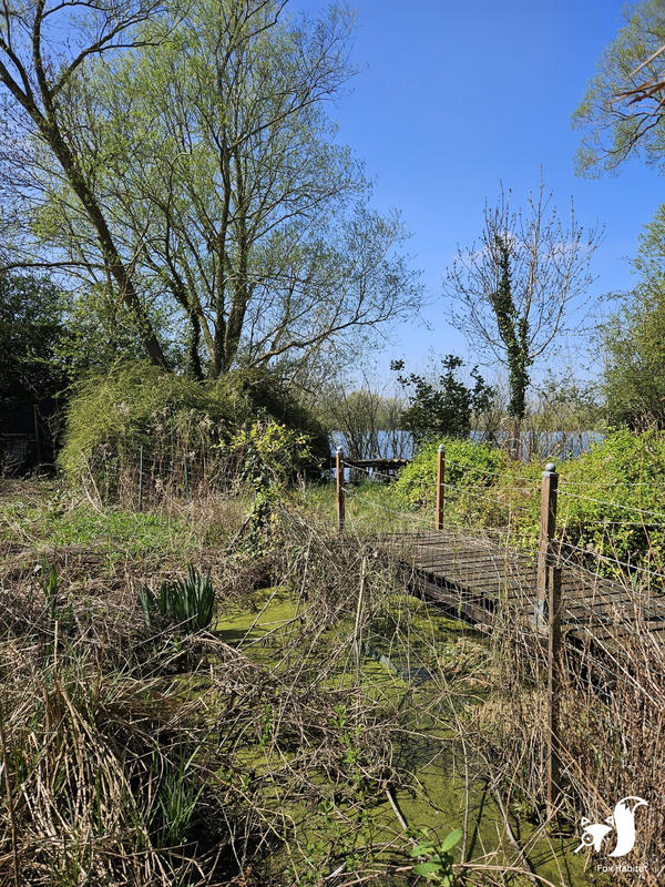 Châlet - 75 m² - 4 pièces