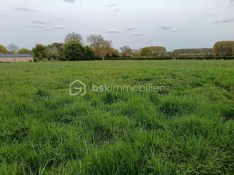 Terrain constructible - 804 m²
