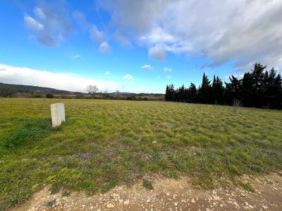 Terrain - 2 421 m²