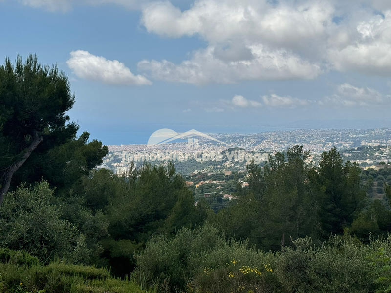 Viager - Maison - 110 m² - 4 pièces