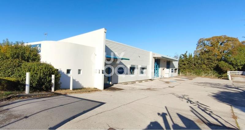 Local d'activités - 880 m² - 16 pièces