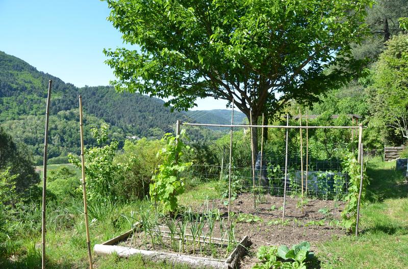 Maison en pierre - 102 m² - 5 pièces