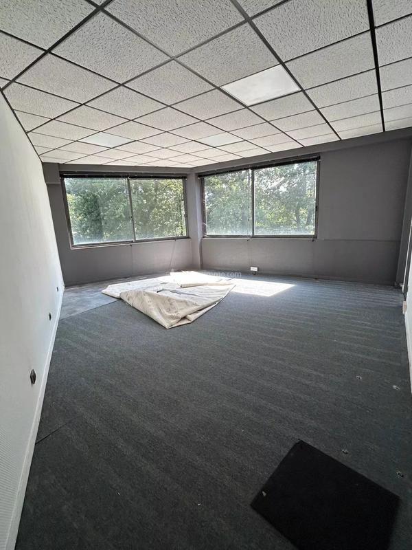Bureau - 100 m² - 5 pièces