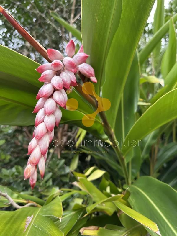 Maison chambre d'hôtes - 157 m² - 6 pièces