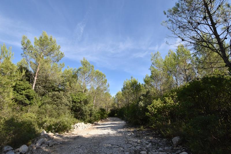 Terrain de loisirs - 1 530 m²