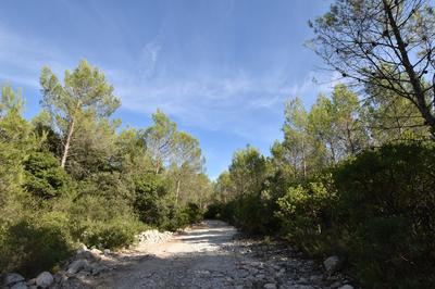 Terrain de loisirs - 1 530 m²