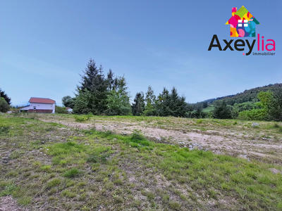 Terrain - 2 932 m²