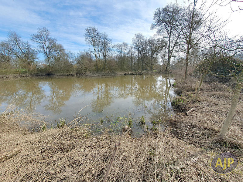 Terrain - 11 502 m²