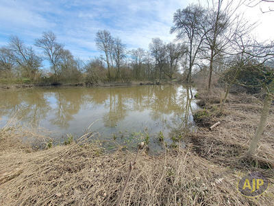 Terrain - 11 502 m²