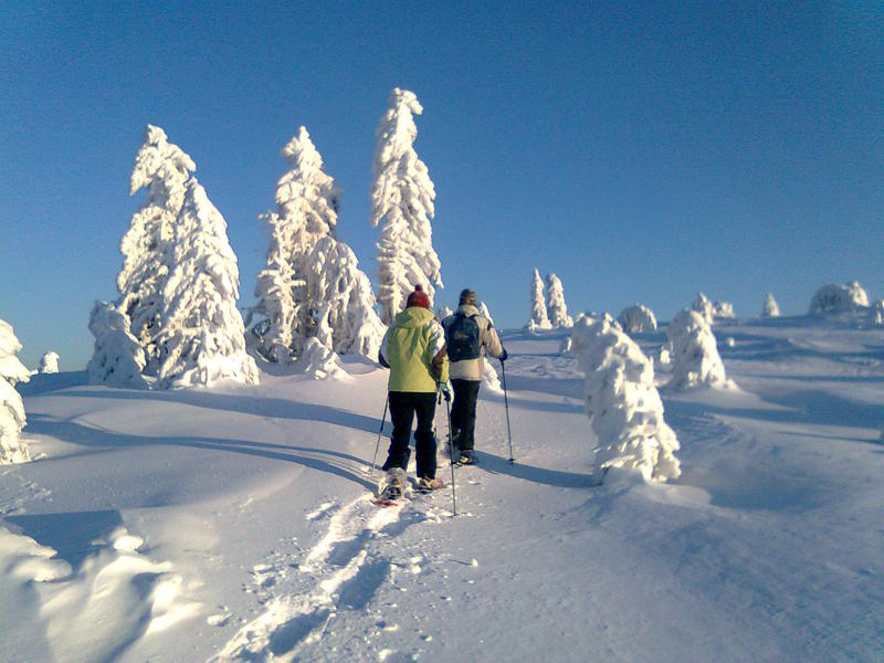 À la découverte du Tanet