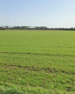 Terrain constructible - 335 m²