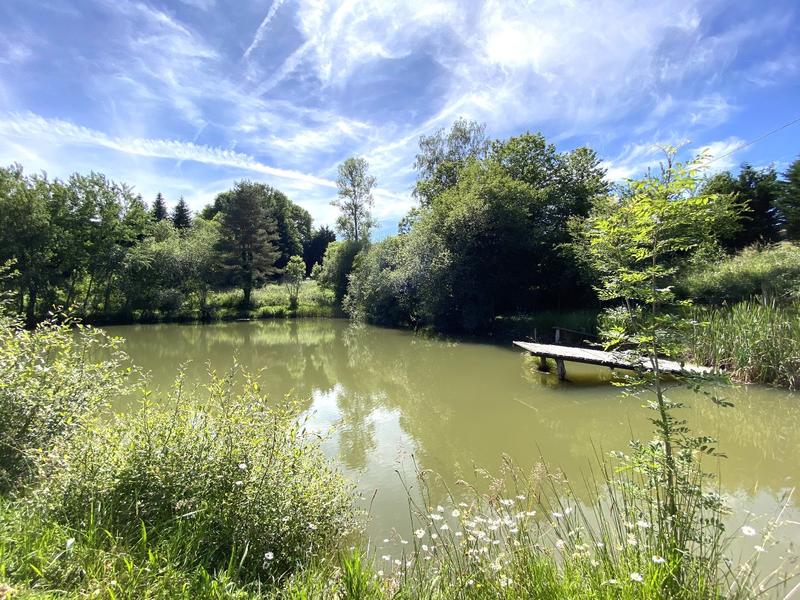 Propriété - 390 m² - 12 pièces