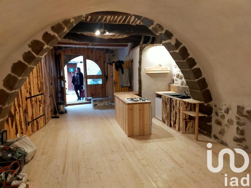 Loft - 50 m² - 1 pièce