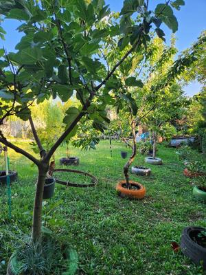 Maison - 60 m² - 2 pièces