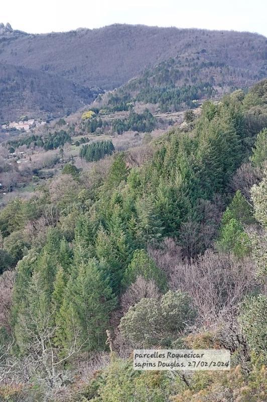 Terrain - 44 972 m²