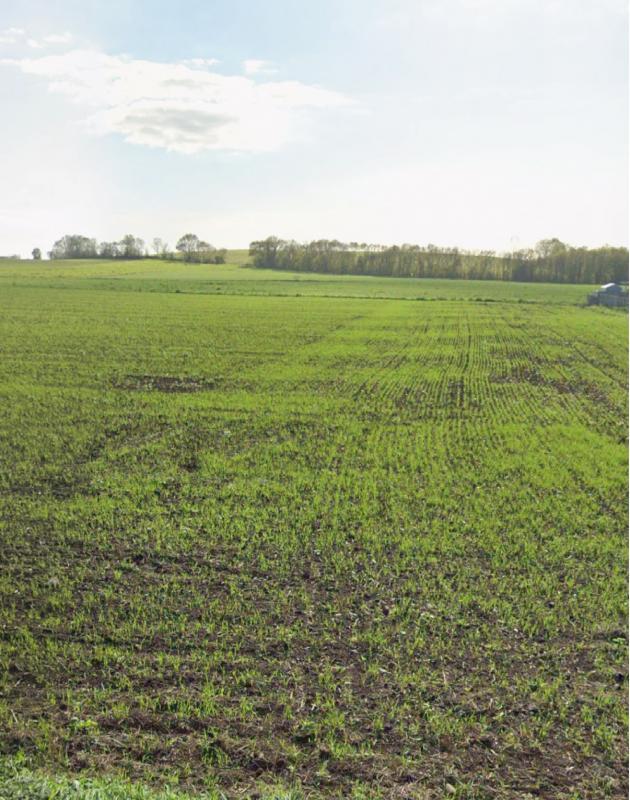 Terrain constructible - 717 m²