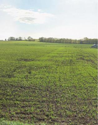 Terrain constructible - 717 m²