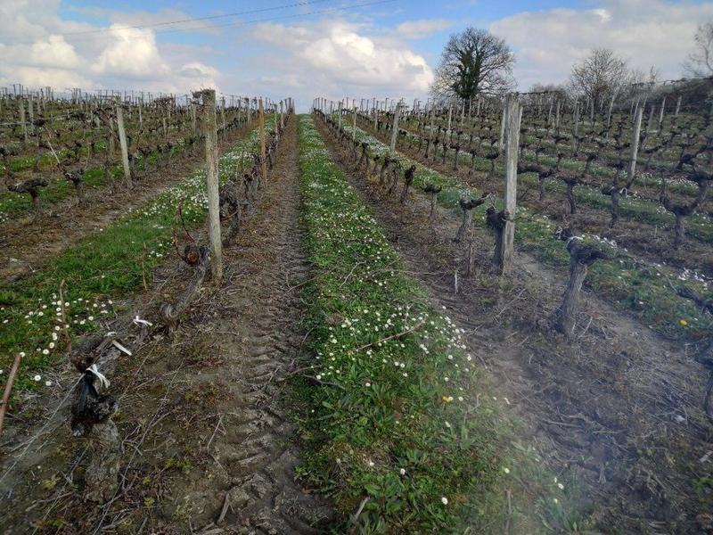 Terrain agricole - 58 343 m²