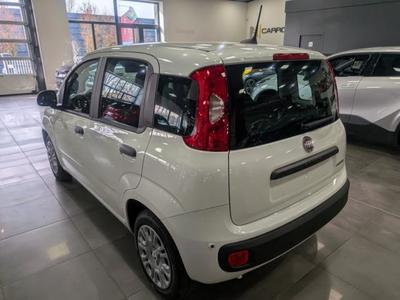 Fiat Panda 1.0 70 ch Hybrid Bsg s/S City