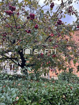 Appartement - 52 m² - 3 pièces