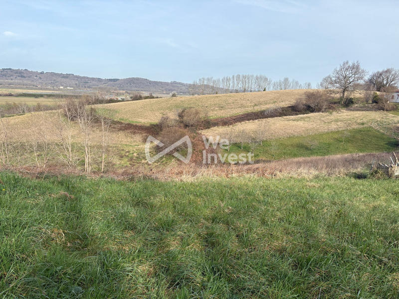 Terrain - 1 362 m²