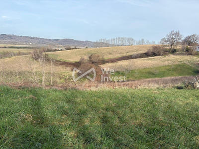 Terrain - 1 362 m²