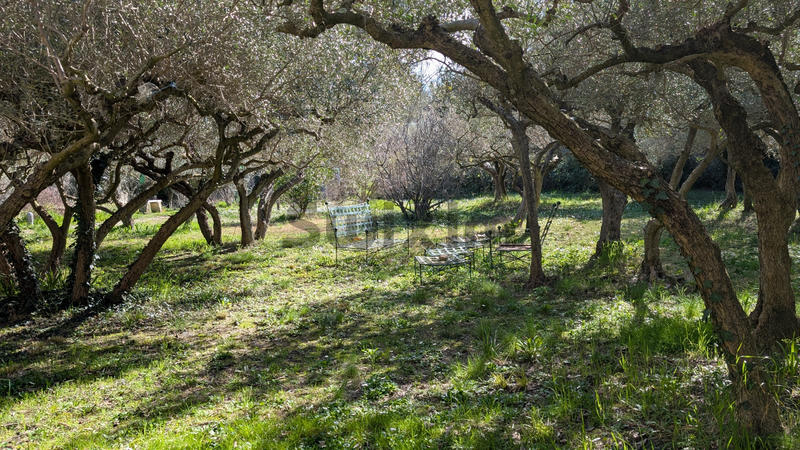 Propriété - 295 m² - 8 pièces