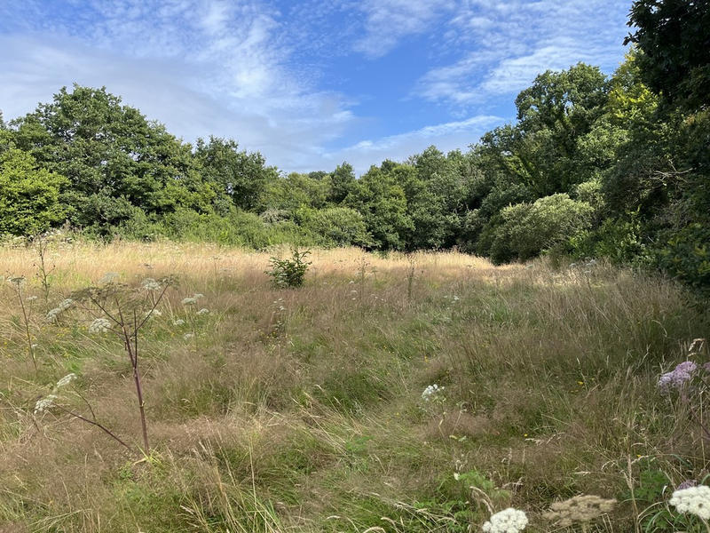 Longère - 118 m² - 6 pièces