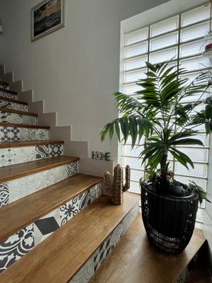 Appartement - 82 m² - 4 pièces