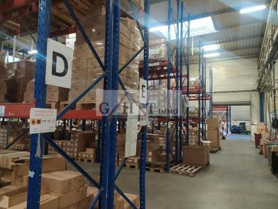 Entrepôt - 3 680 m²