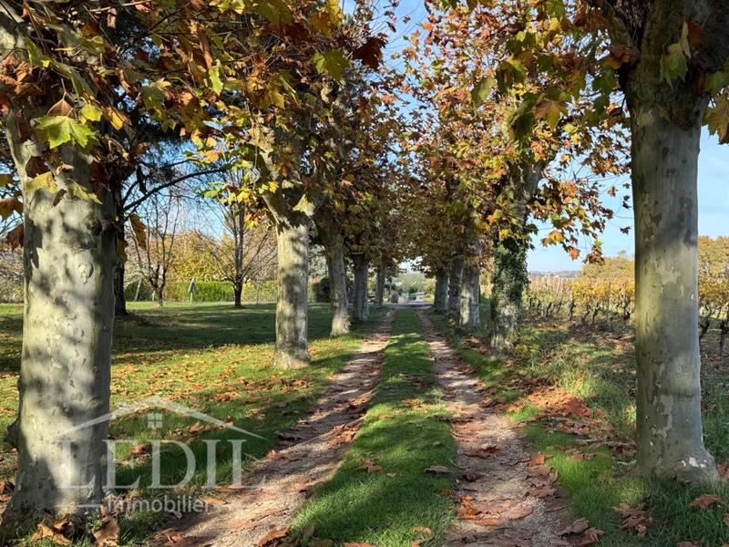 Gîte - 215 m² - 7 pièces