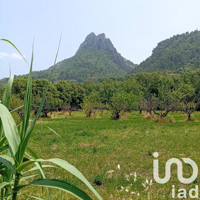 Terrain - 11 771 m²