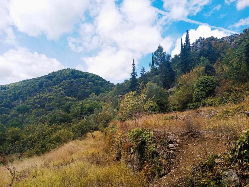 Maison - 40 m² - 3 pièces