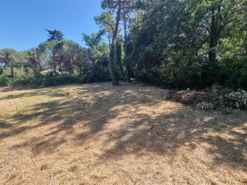 Terrain constructible - 3 058 m²