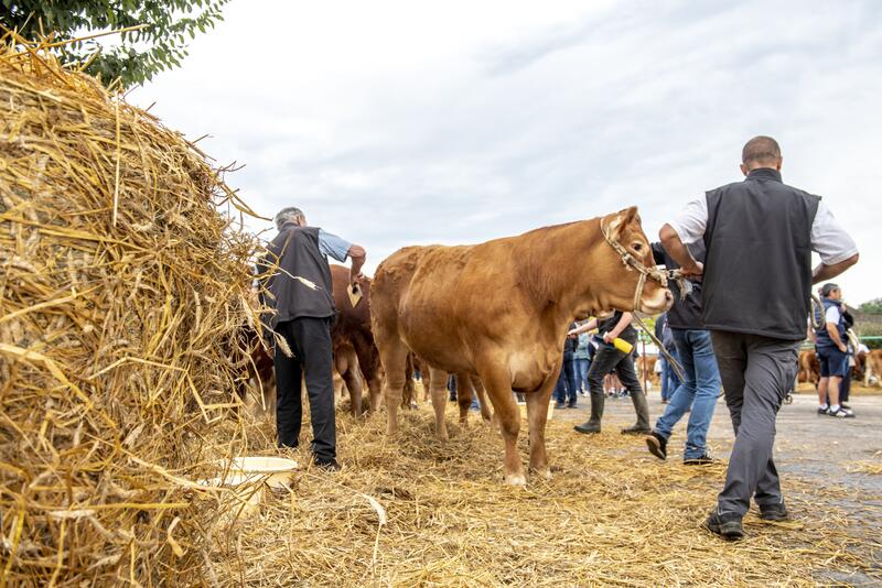 Comice agricole, Château-Chervix en fête!