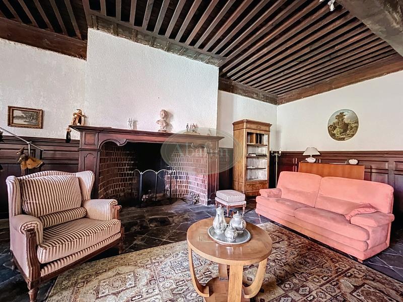 Château - 445 m² - 9 pièces