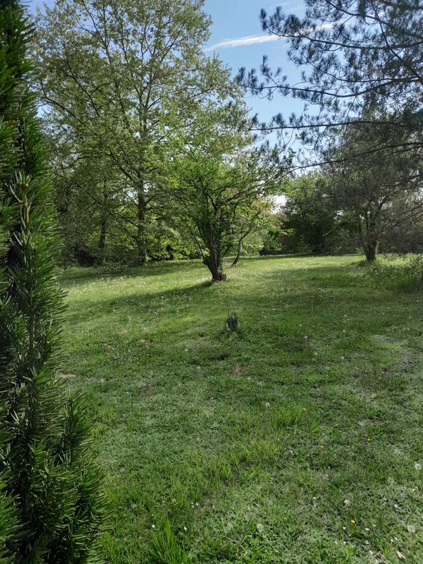 Maison traditionnelle - 170 m² - 7 pièces