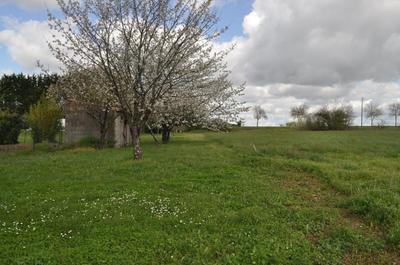 Terrain constructible - 4 979 m²