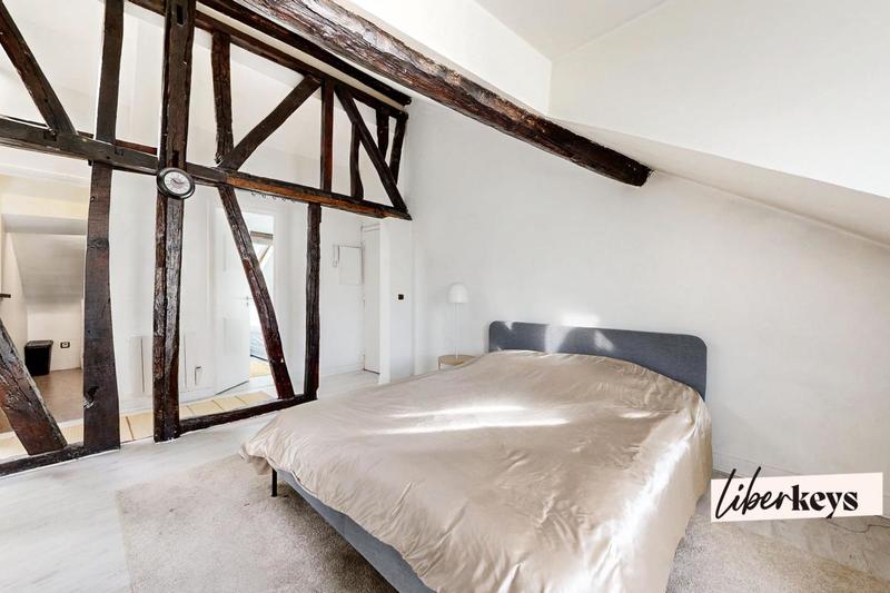 Loft - 53 m² - 2 pièces