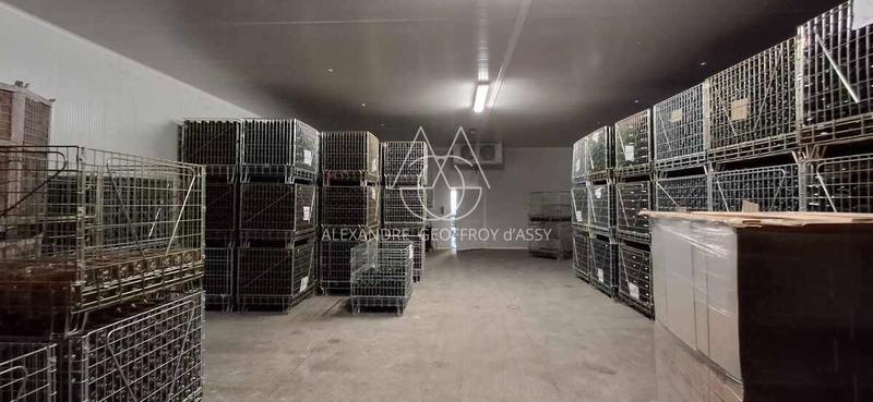 Propriété - 650 m² - 8 pièces