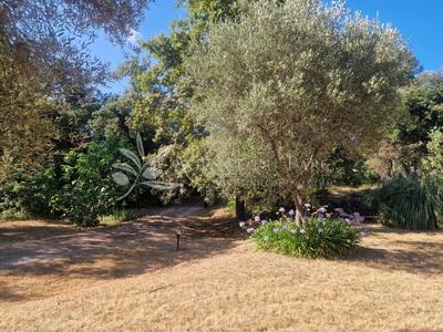 Terrain constructible - 3 000 m²