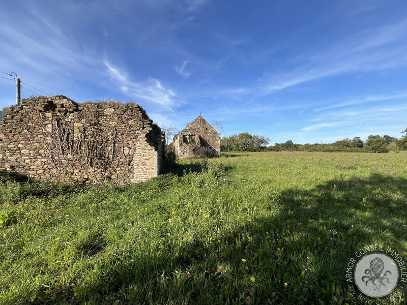 Maison - 150 m² - 4 pièces